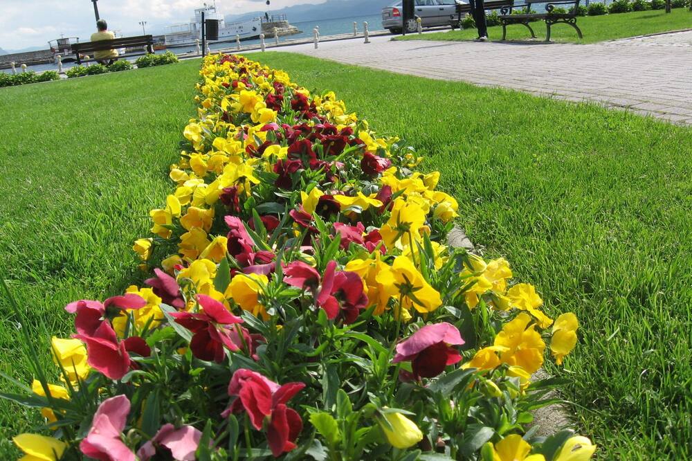 アパートメンツ コスタ 写真