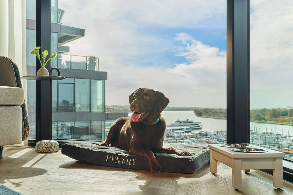 ペンドリー ワシントン DC - ザ ワーフ 写真