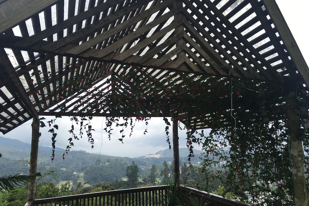 サンライト スイート 写真