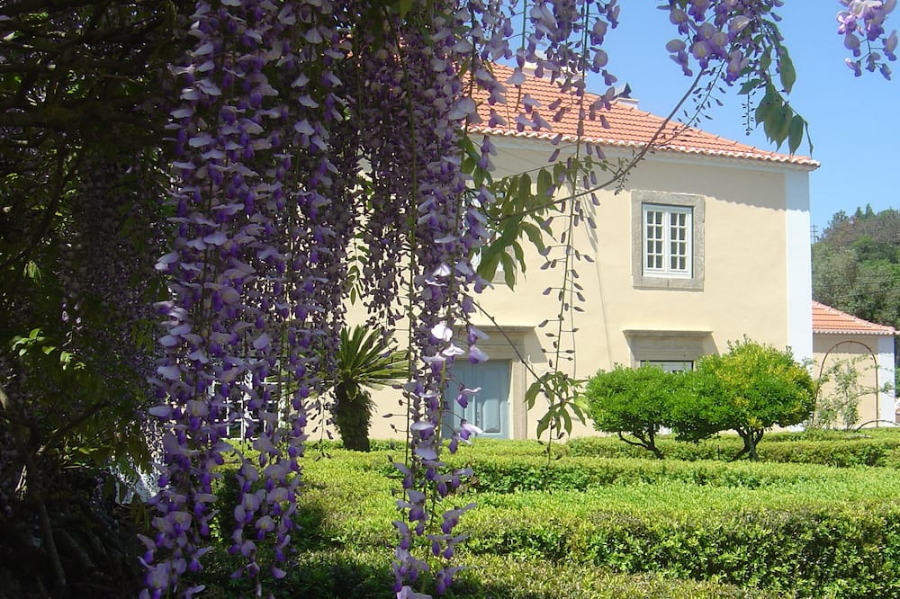 Quinta Do Scoto 写真