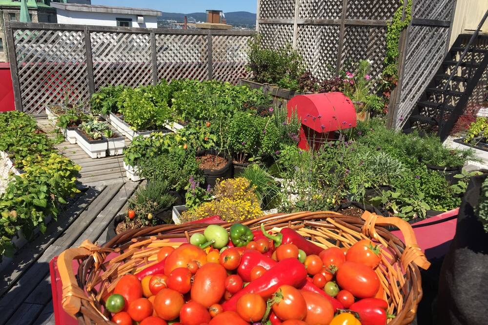 ホテル デュ ヴュー ケベック 写真