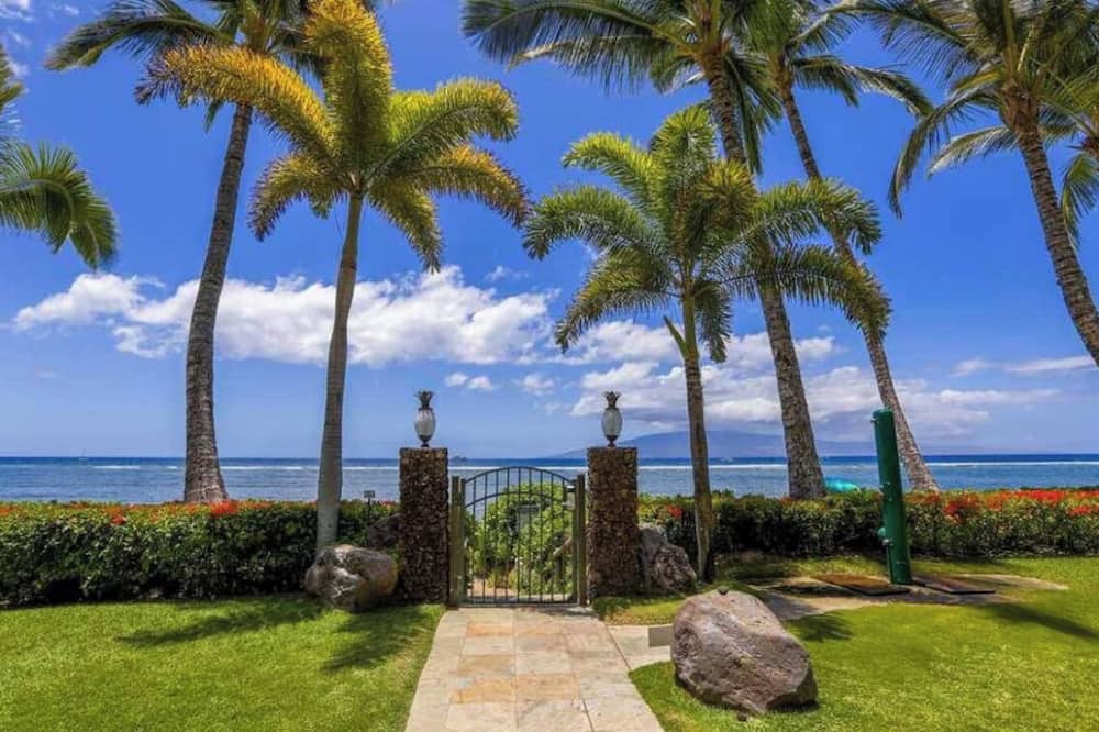 ラハイナ ショアズ 写真