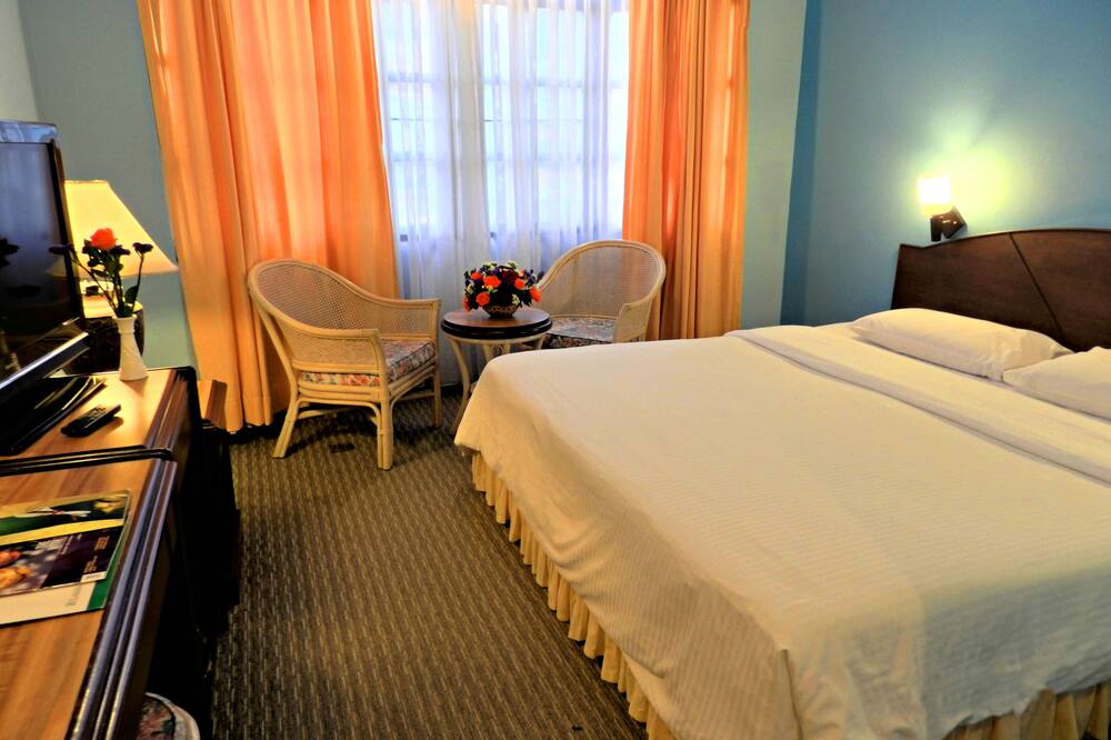 ローザ パサデーナ 写真