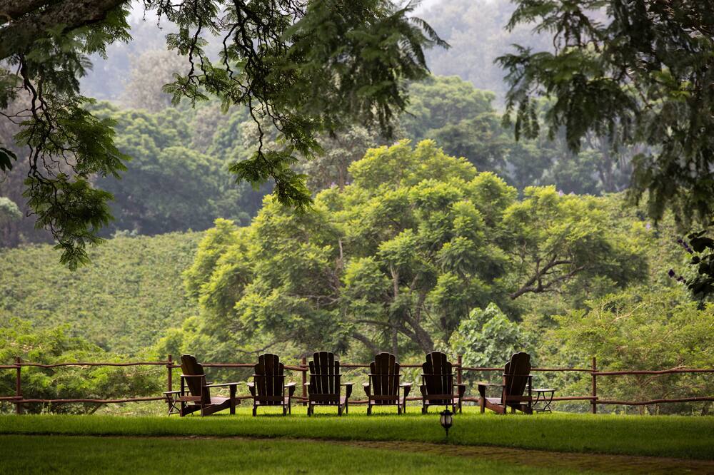 エレワナ ザ マナー ンゴロンゴロ 写真