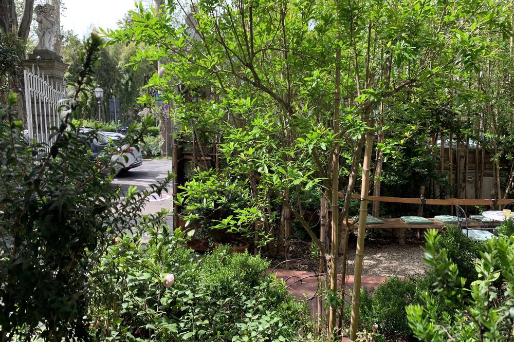 ホテル デビッド 写真