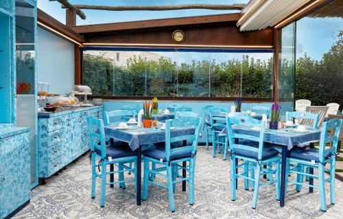 カプリ ドリーミング 写真