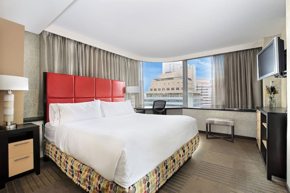 ホリデイ イン エクスプレス デンバー ダウンタウン バイ IHG 写真