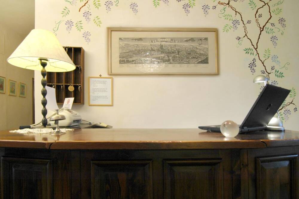 テル ダリ 写真