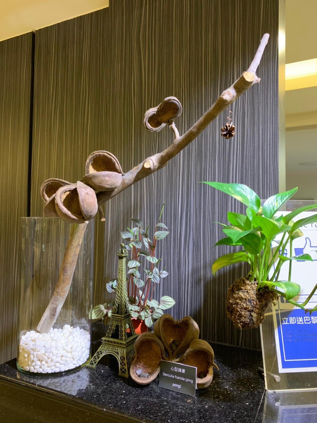 ドゥ レーヴ エクスプレス ホテル 写真