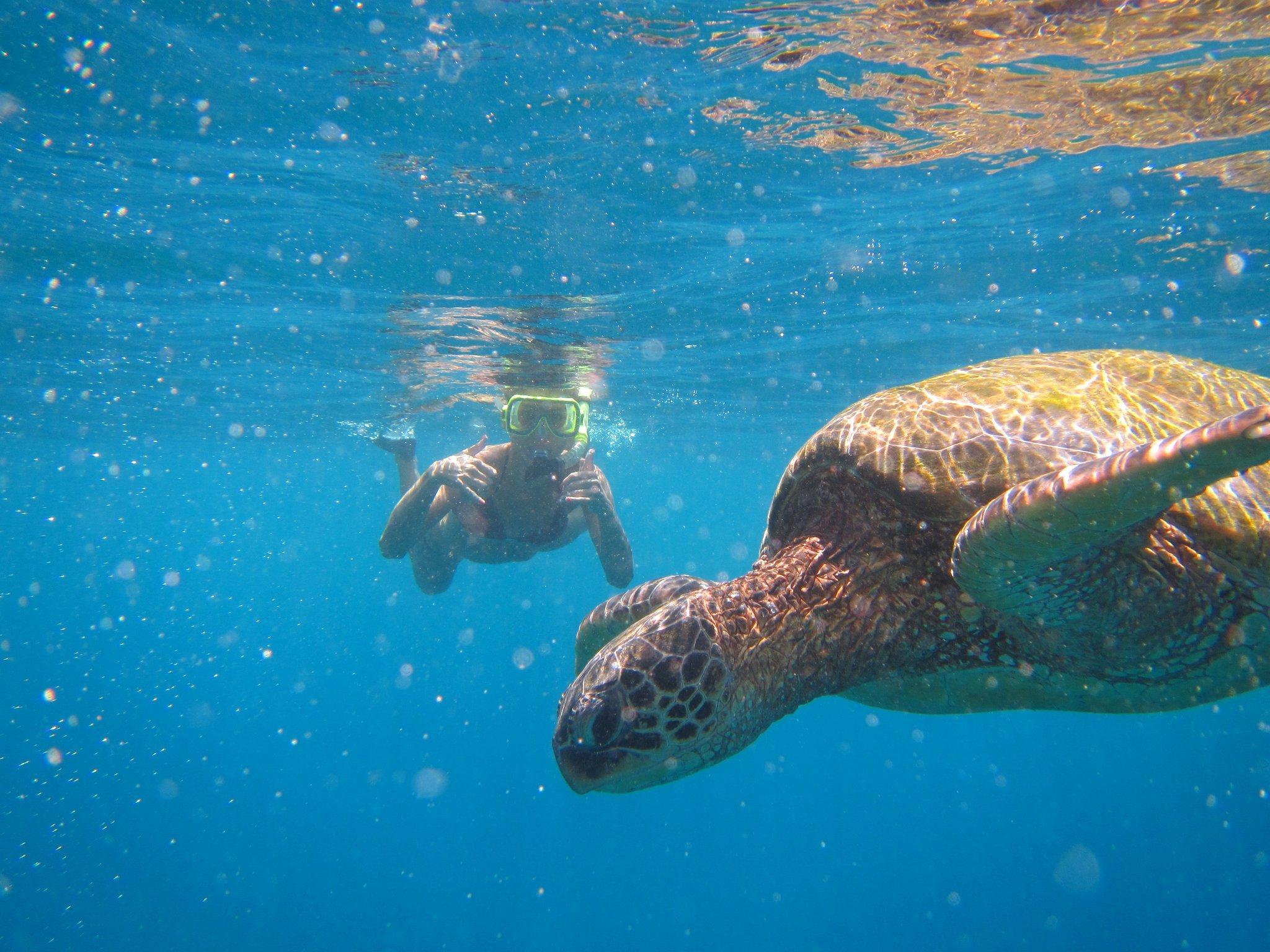 ハイアット リージェンシー マウイ リゾート アンド スパ 写真