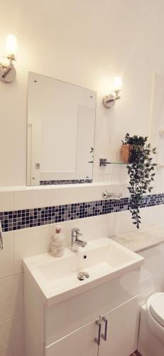 Fernhurst holiday apartments 写真