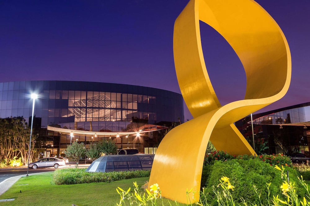 ロイヤル チューリップ ブラジリア アルボラーダ 写真