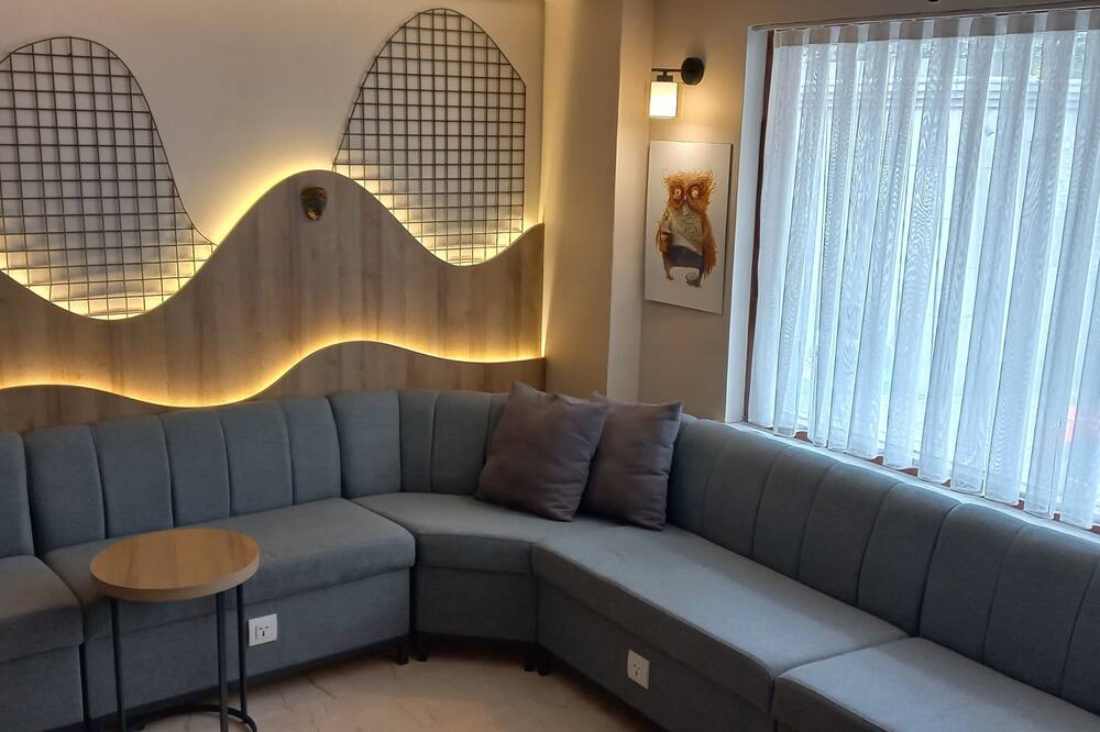 アゴラ ゲストハウス＆ホステル 写真