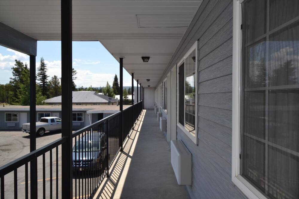 デュード & ラウンドアップ 写真