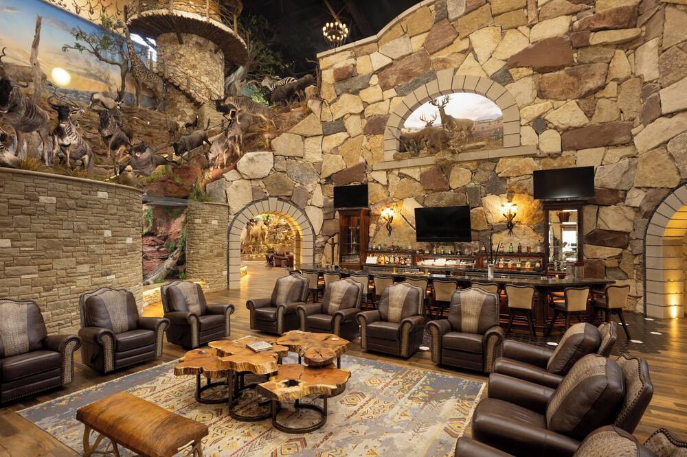 チャンピオン ランチ 写真