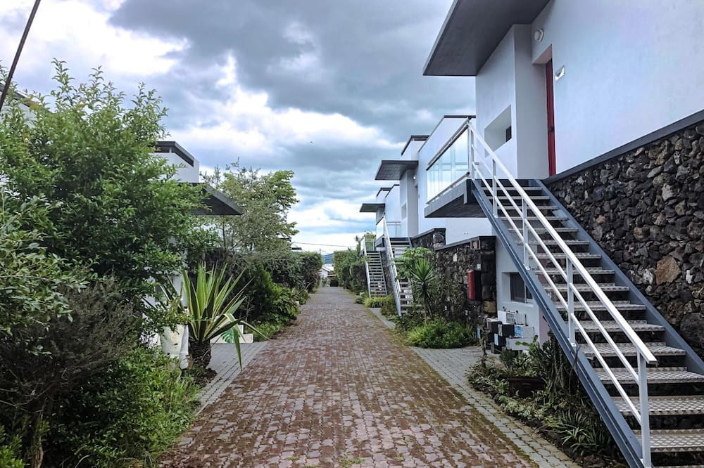 Quinta De Santana 写真