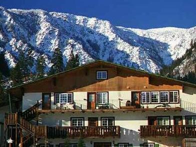 ブルー エルク イン 写真