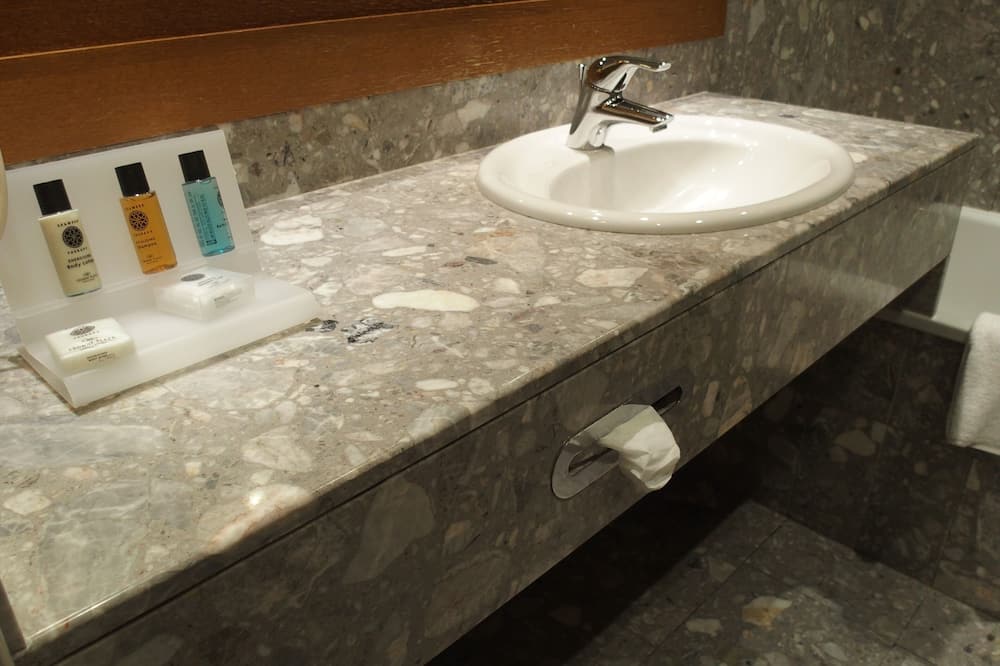 プラザ ホテル キャピトル トゥールーズ 写真