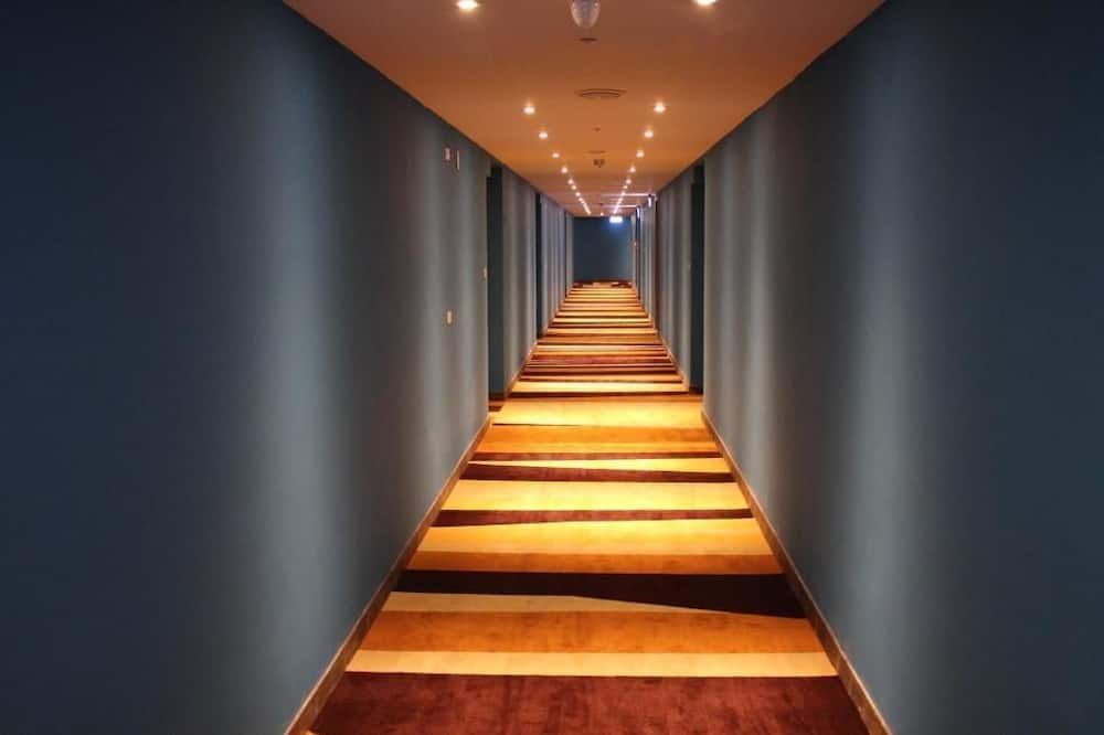 チャオ ティエン ホステル (朝圣行旅) 写真