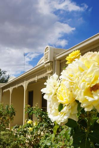 Acacia Terraces 写真