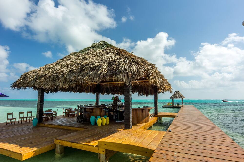 X'tan Ha- The Waterfront 写真