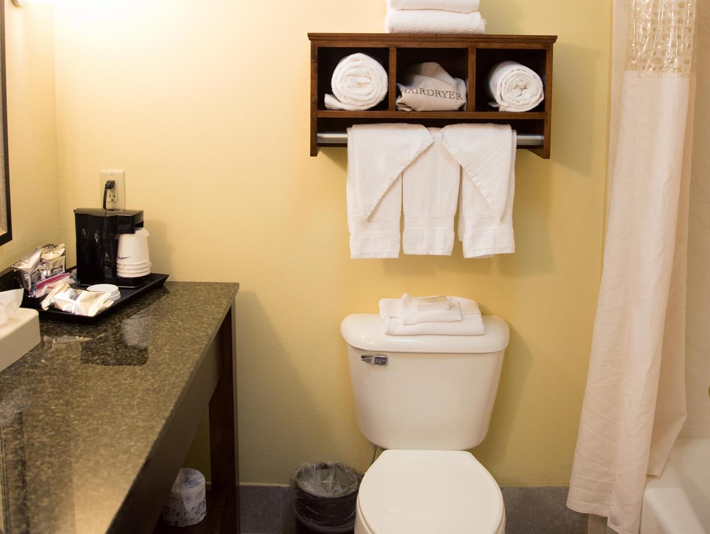 ハンプトン イン ダンビル 写真