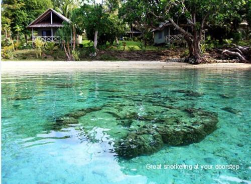 アオレ アイランド リゾート 写真