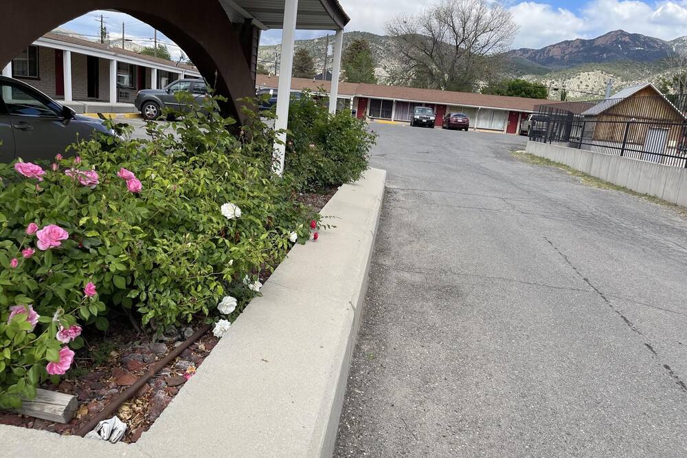 サファリ モーテル 写真