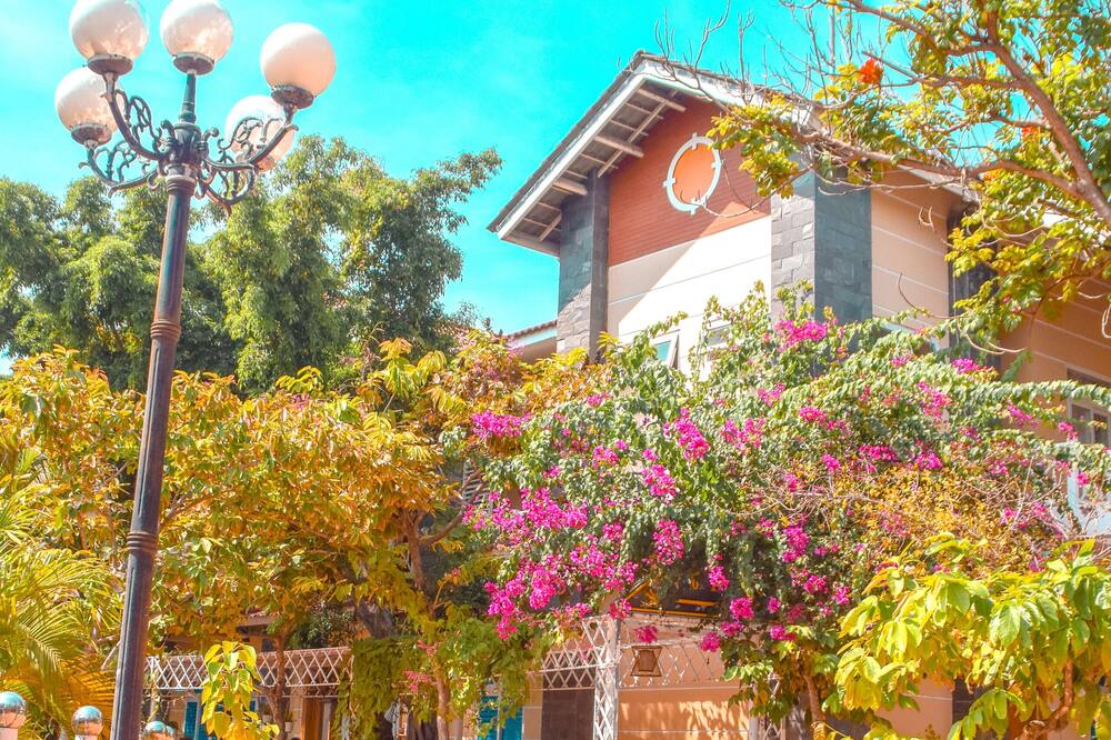 ムイ タウ ホテル 写真