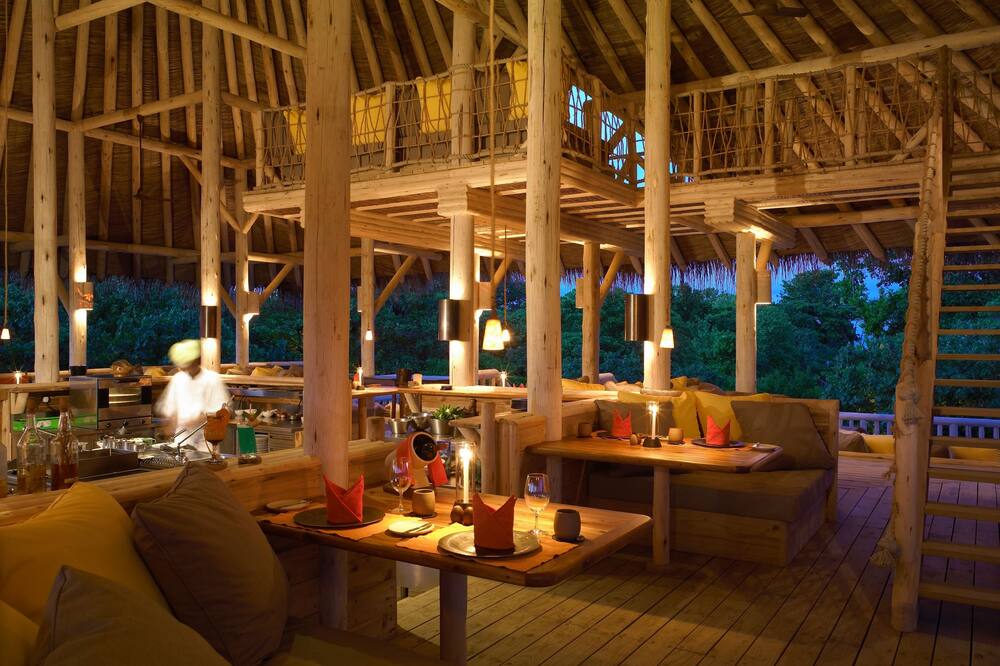 ソネバフシ 写真