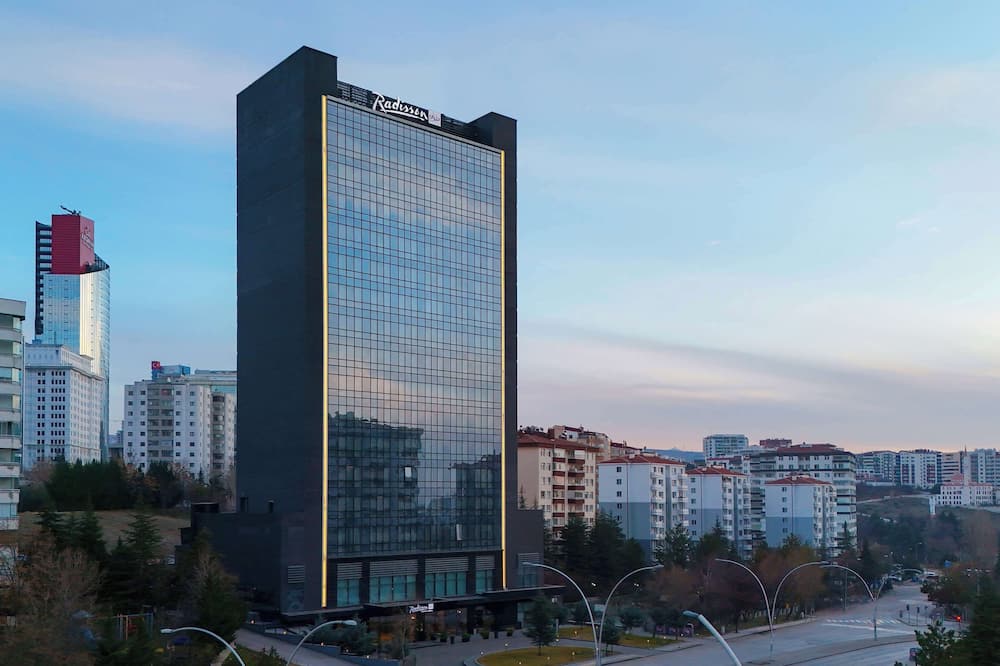 ラディソン ブルー オテル アンカラ チャンカヤ 写真