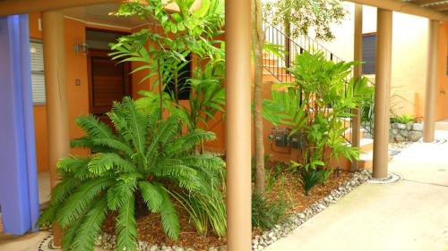 L'Auberge Noosa 写真