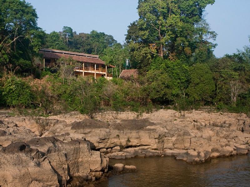 フォレスト フロア ロッジ 写真