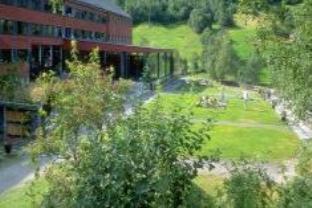 スタルハイム ホーム 写真