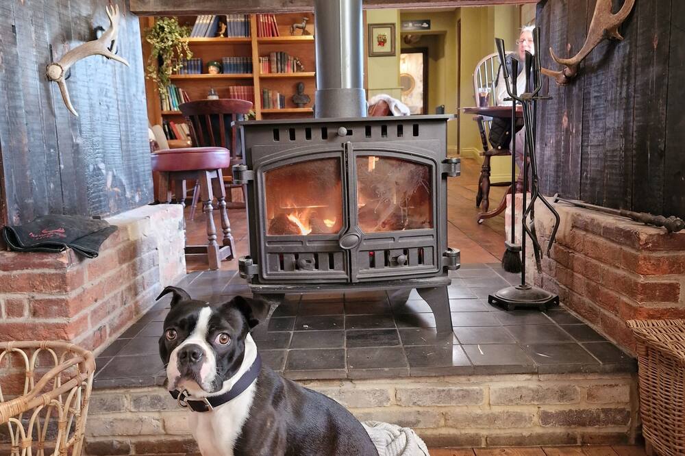 デューク オン ザ テスト 写真