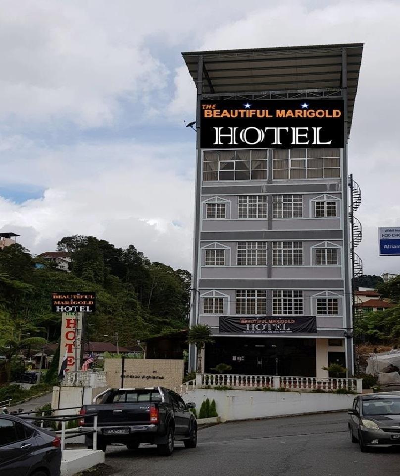 THE BEAUTIFUL MARIGOLD HOTEL 写真