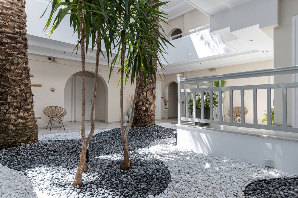 アナトリー 写真