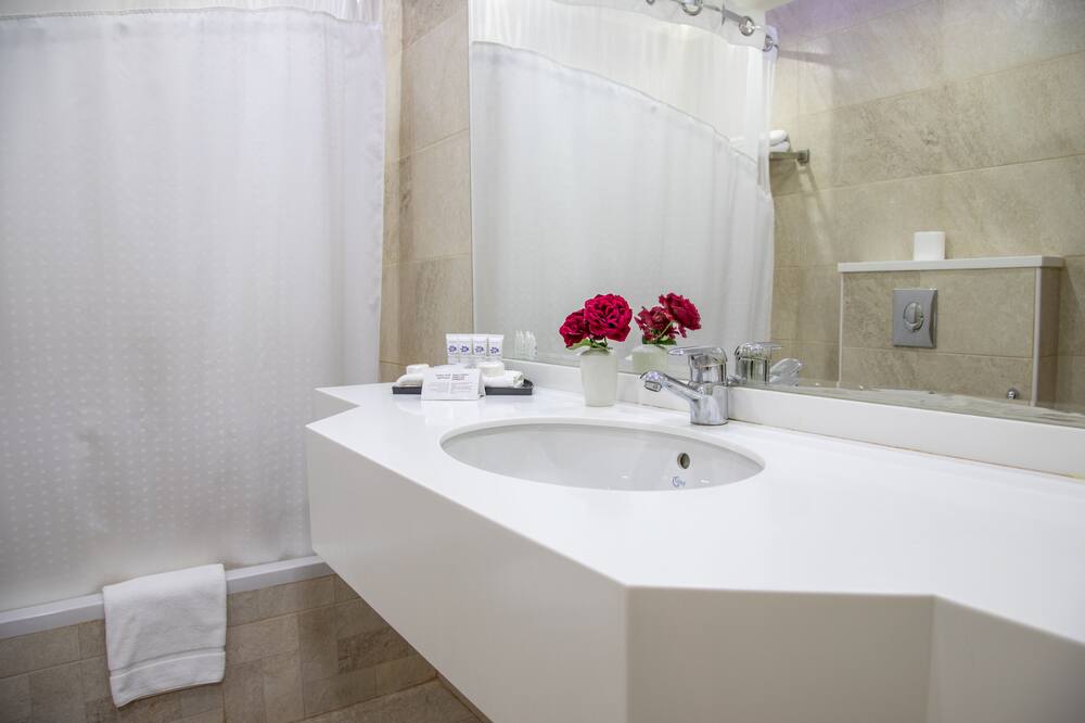 ペトラ ゲスト ハウス 写真