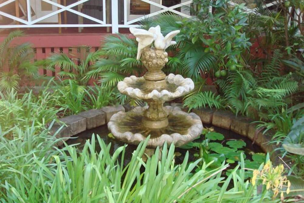 アモーレ オン バダリム レインフォレスト キャビンズ 写真