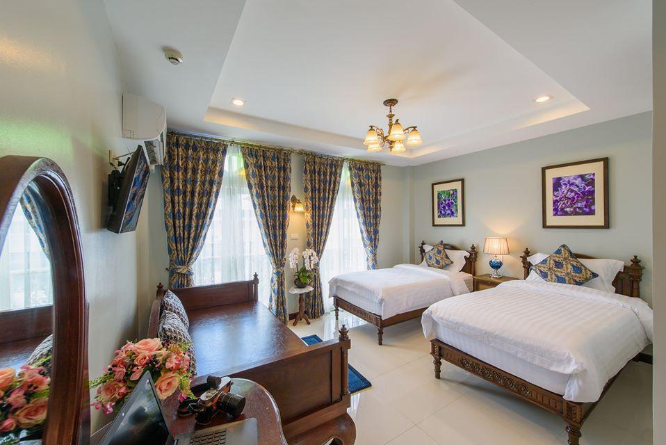 Velvet orchid 写真