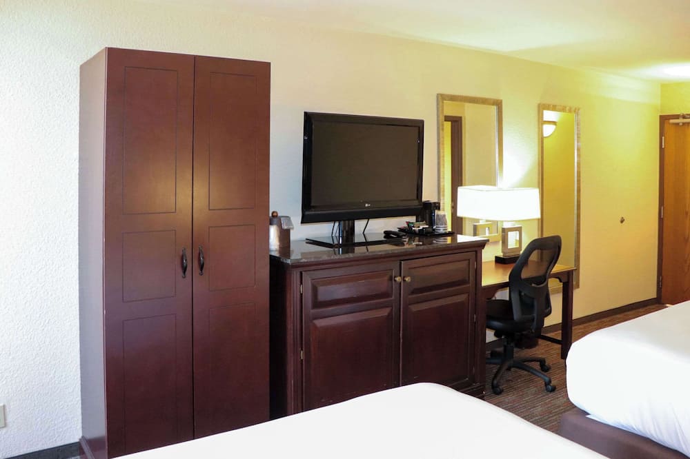 マスタング イン 写真