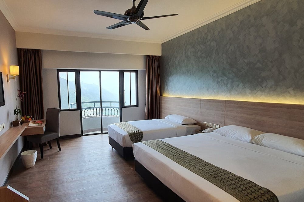 コプトホーン キャメロン ハイランズ 写真