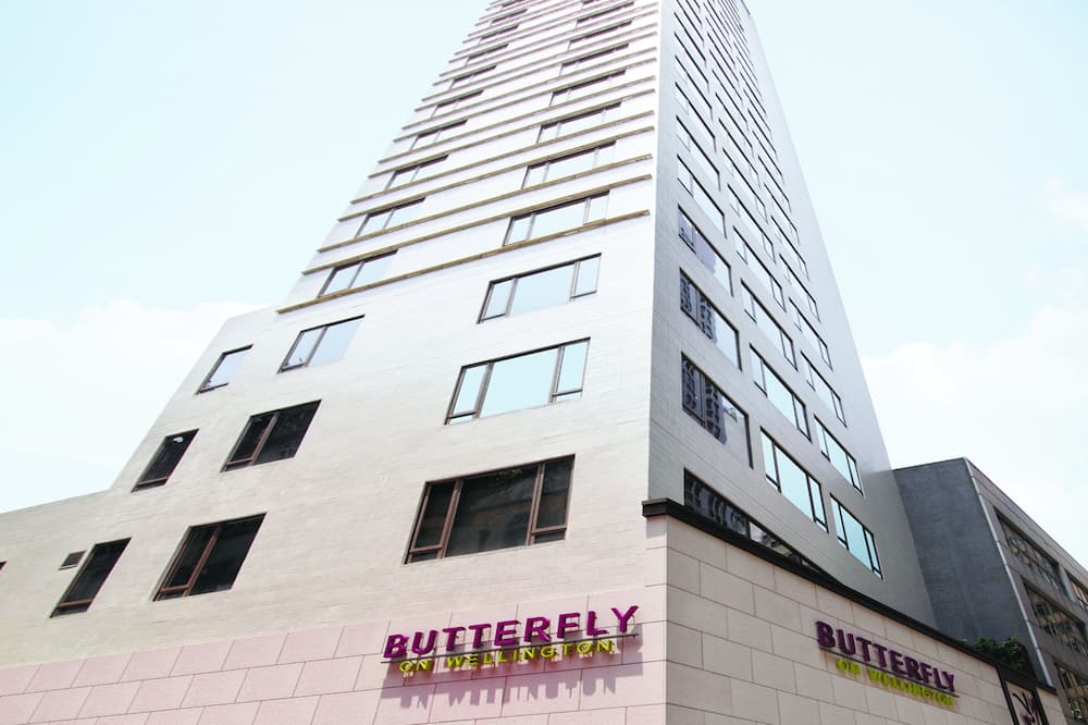 バタフライ オン ウェリントン セントラル 写真