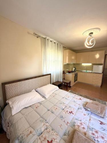 Shkodra Guest House & Trips 写真