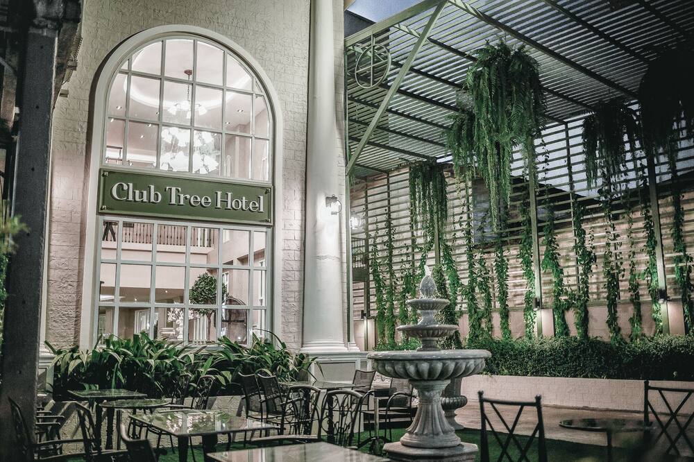 クラブ ツリー ホテル 写真