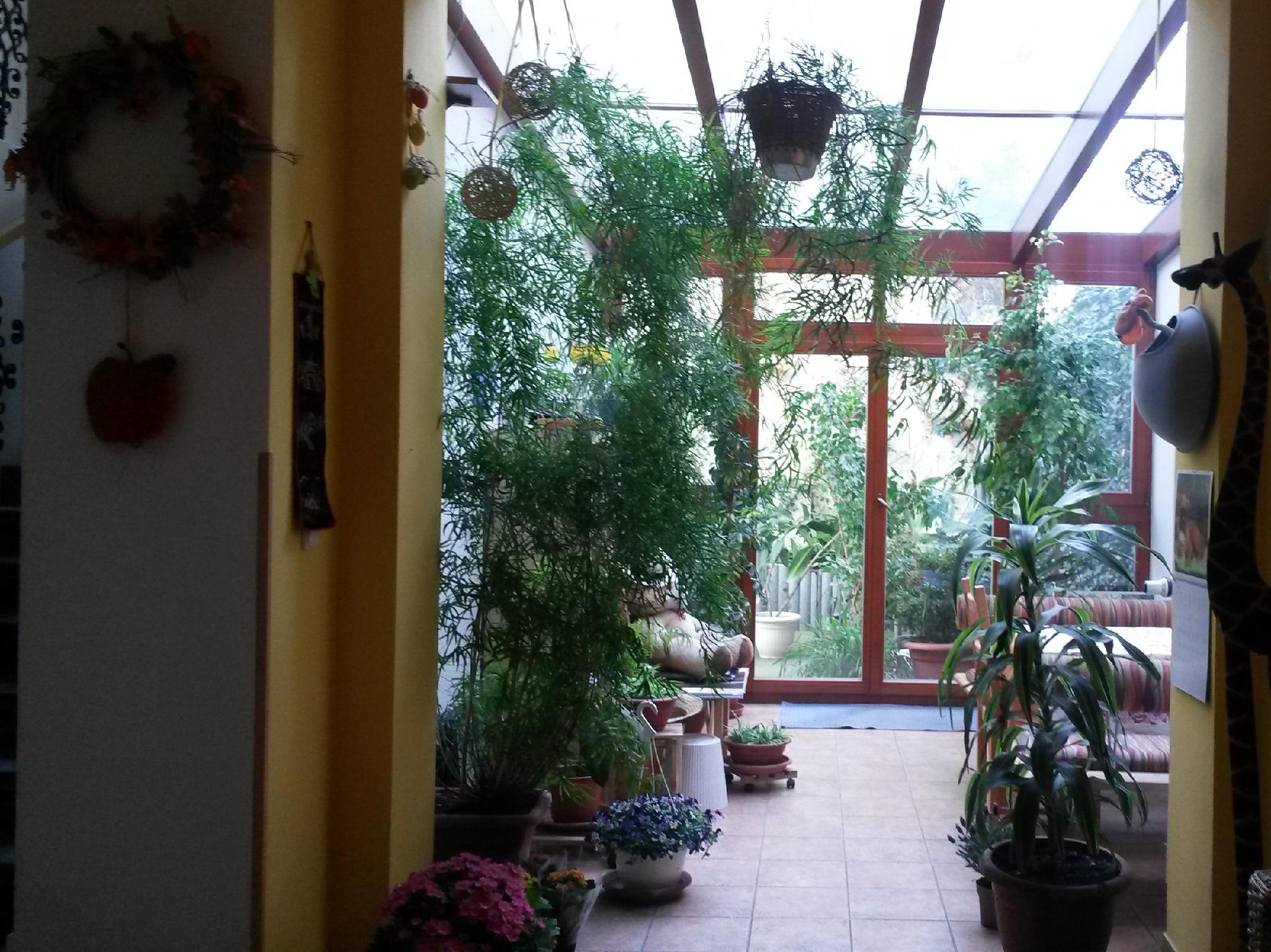 アパートホテル シティ 5 写真