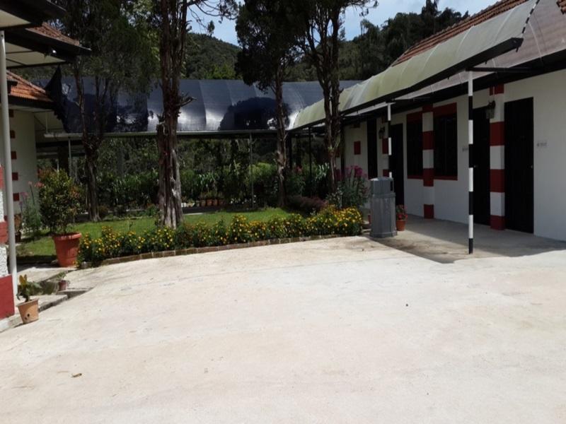 サンライト スイート 写真