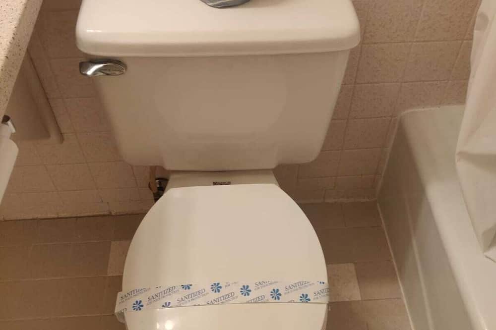 スカイライン モーター イン 写真