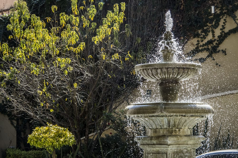 Hotel Ex Hacienda San Xavier 写真