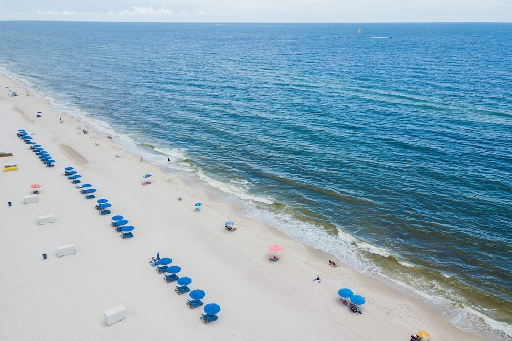Hilton Garden Inn Orange Beach Beachfront 写真